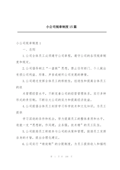 小公司规章制度15篇.docx