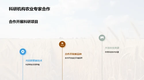 科创引领小麦种植新未来