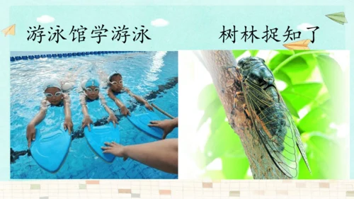 统编版三年级上册第一单元口语交际：我的暑假生活  课件