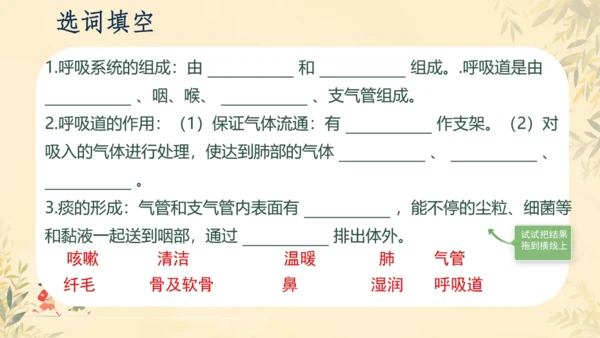 初中生物学人教版（新课程标准）七年级下册4.3.1呼吸道对空气的处理课件(共16张PPT)