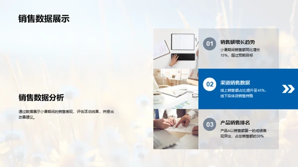 小暑销售策略优化