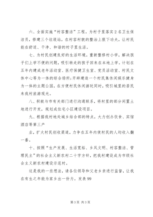 村支书工作计划汇报 (4).docx