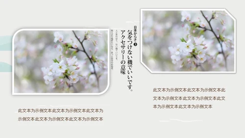 岛国之旅浪漫樱花季通用PPT模板
