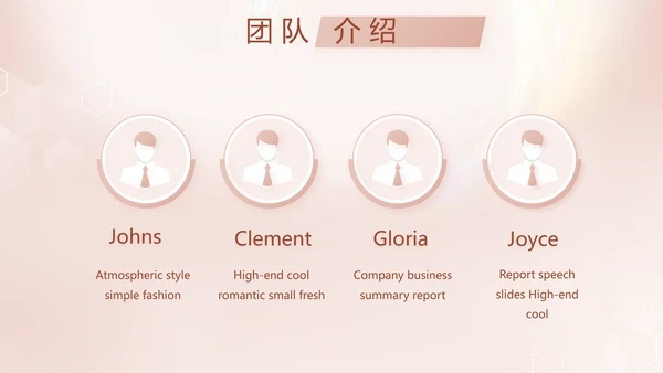 轻奢女神微整形医院介绍工作总结PPT
