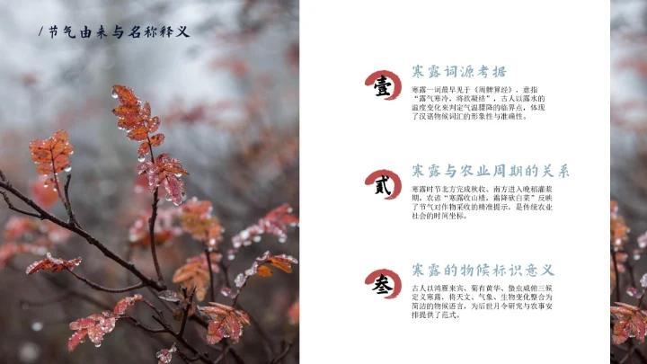 瓷青色简约风寒露节气PPT模版