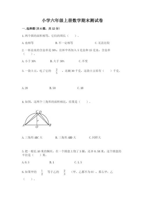 小学六年级上册数学期末测试卷（易错题）word版.docx