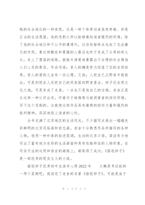 骆驼祥子优秀初中生读书心得2022年.docx