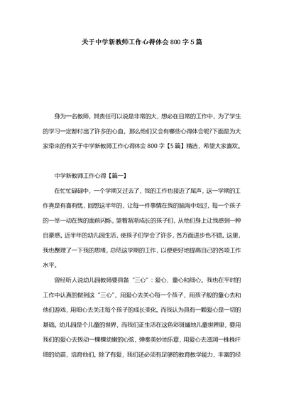 关于中学新教师工作心得体会800字5篇