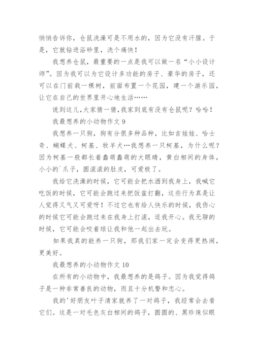 我最想养的小动物作文.docx