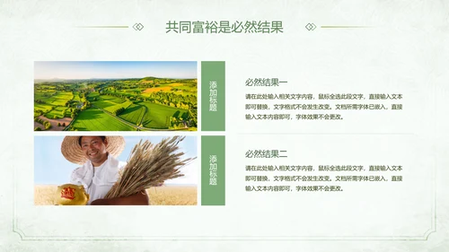 农村发展迈向一同富裕PPT模板