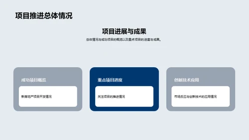 20XX年度房产业绩剖析