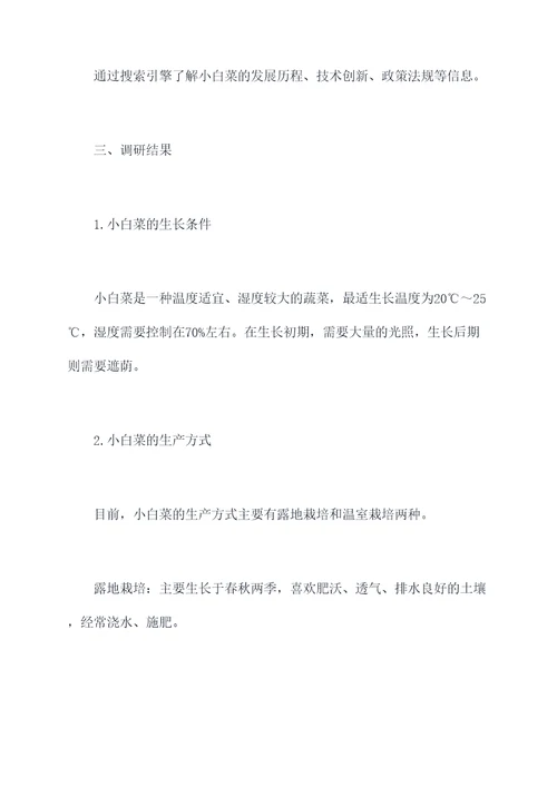 小白菜调研报告