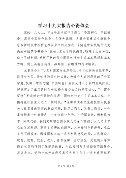 学习十九大报告心得体会 (26).docx