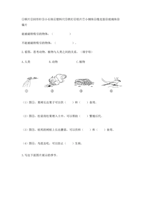 教科版二年级上册科学期末测试卷（模拟题）.docx