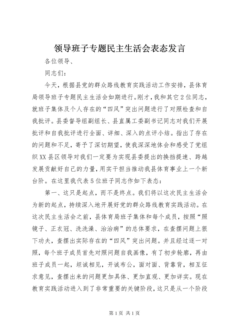 领导班子专题民主生活会表态发言.docx