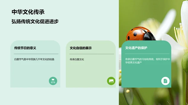 绿色现代商务白露节气传统文化介绍PPT模板