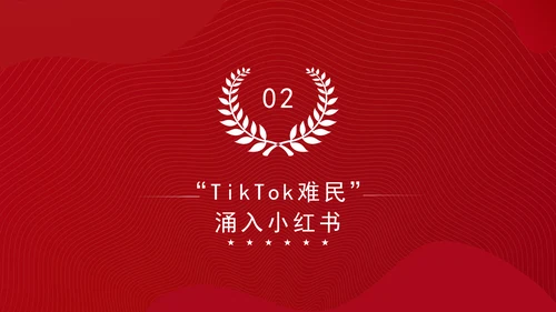 关于中美网民“小红书上交朋友”解说PPT课件