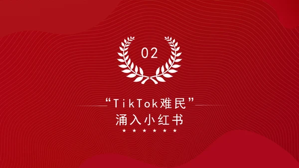 关于中美网民“小红书上交朋友”解说PPT课件