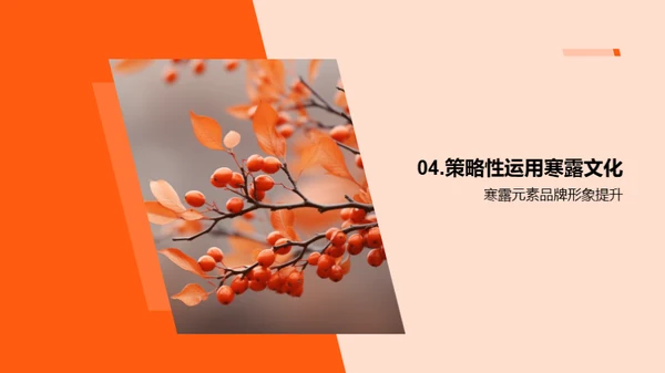 寒露文化营销策略