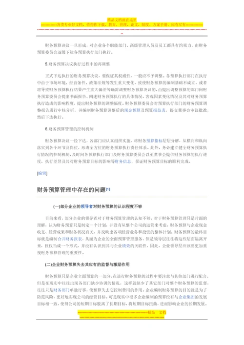 财务预算管理.docx