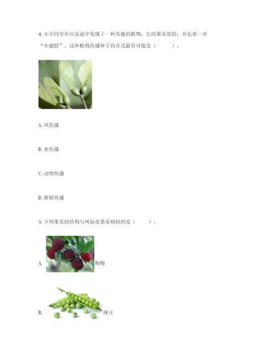 科学四年级下册第一单元《植物的生长变化》测试卷（巩固）.docx