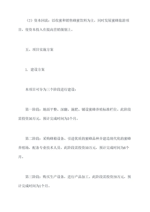 养蜂商业项目计划书