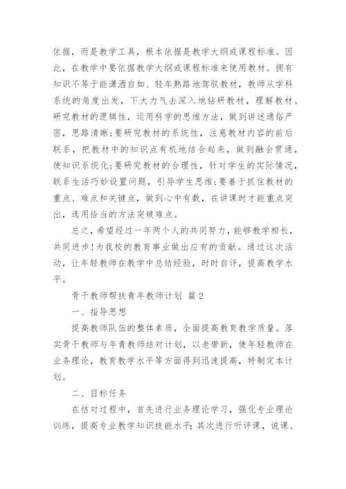 骨干教师帮扶青年教师计划_2.docx