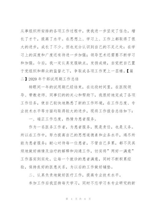 2020年干部试用期工作总结.docx