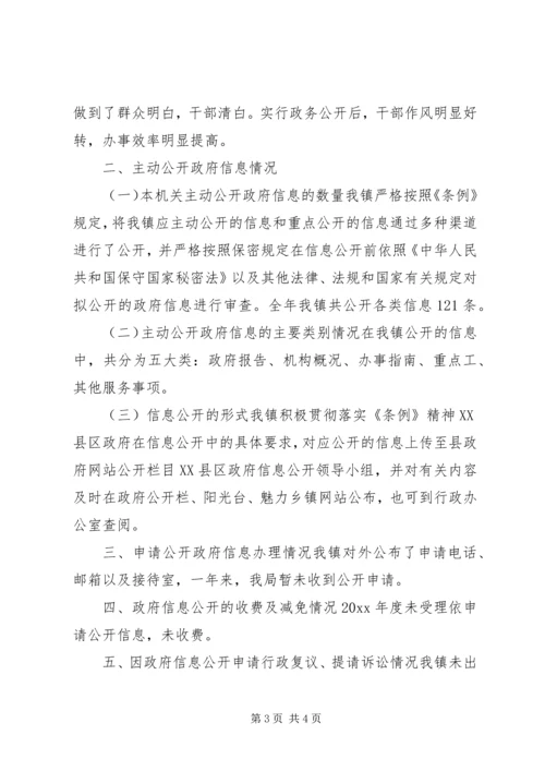 乡镇政务公开年度总结.docx