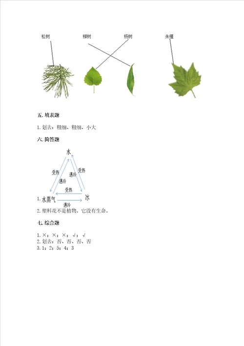 教科版科学一年级上册第一单元《植物》测试卷含答案（综合题）