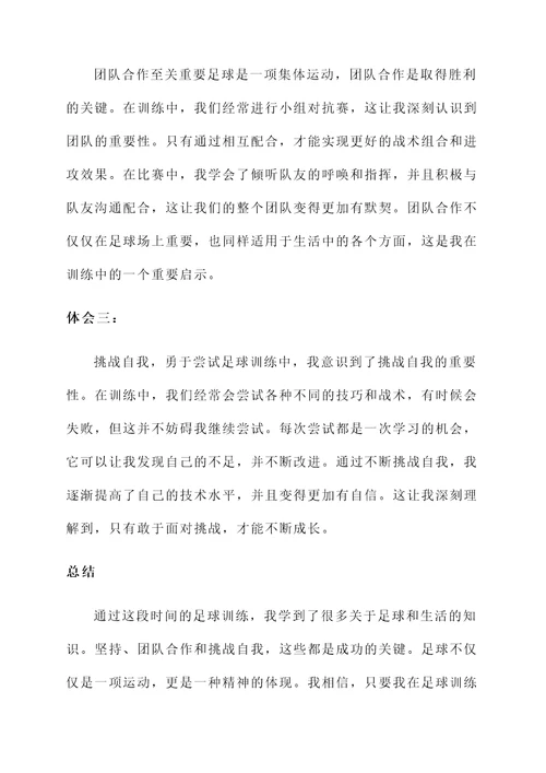 关节运动培训心得体会