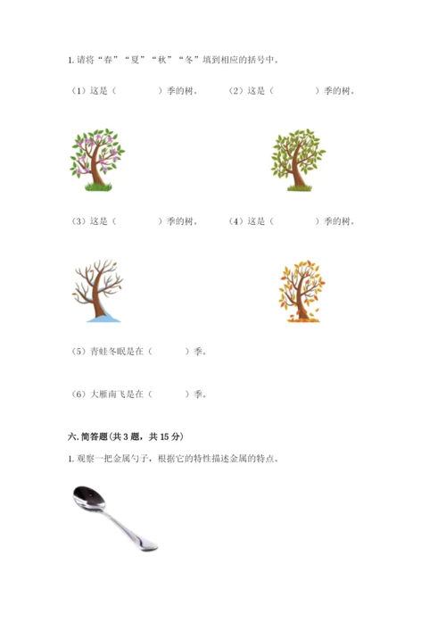 教科版小学二年级上册科学期末测试卷重点班.docx