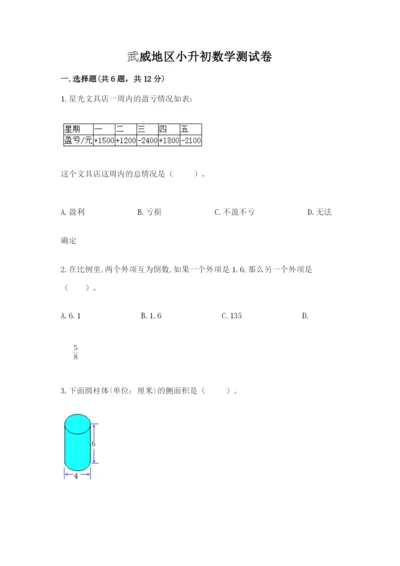 武威地区小升初数学测试卷汇编.docx