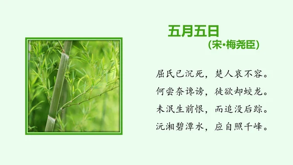 中华传统佳节浓情端午主题班会PPT模板
