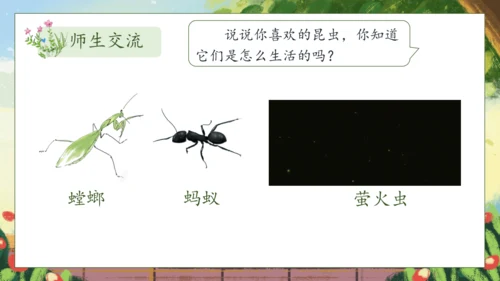 【核心素养】部编版语文二年级下册-11. 我是一只小虫子 第1课时（课件）