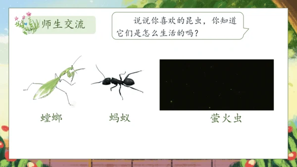 【核心素养】部编版语文二年级下册-11. 我是一只小虫子 第1课时（课件）