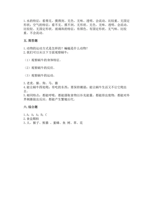 教科版一年级下册科学期末测试卷含完整答案（全优）.docx