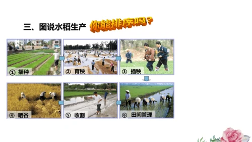 人文地理上册 3.1.1 稻作文化的印记 课件（共20张PPT）
