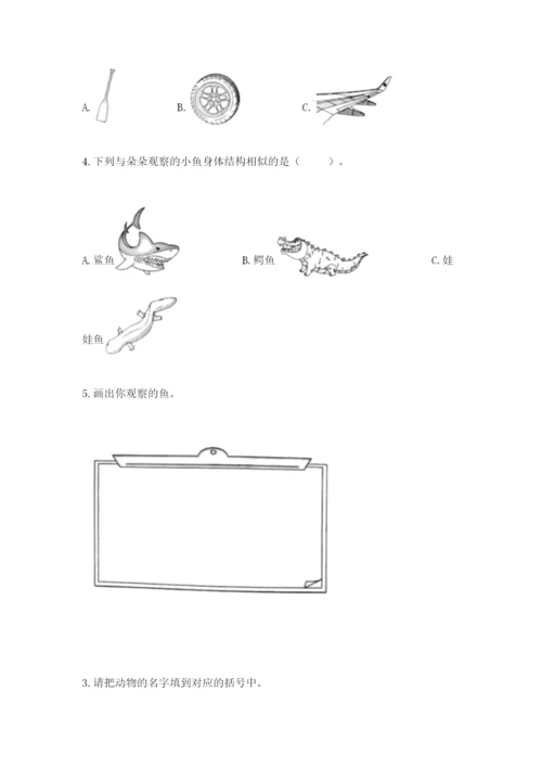 教科版一年级下册科学期末测试卷及参考答案（夺分金卷）.docx