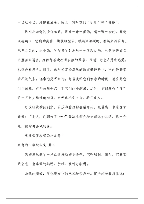 2022乌龟的三年级作文6篇