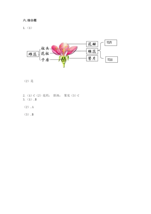 科学四年级下册第一单元植物的生长变化测试卷（重点）.docx