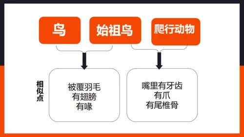 生命起源和生物进化企鹅通用PPT模板