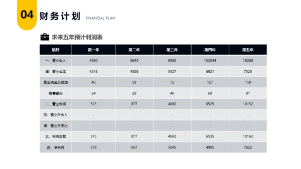 金融行业商业创业计划书模板