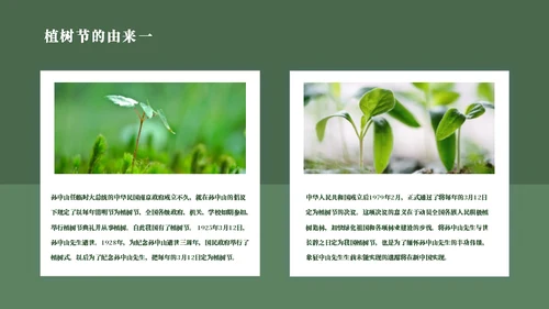 简约风植树节主题班会通用PPT模板