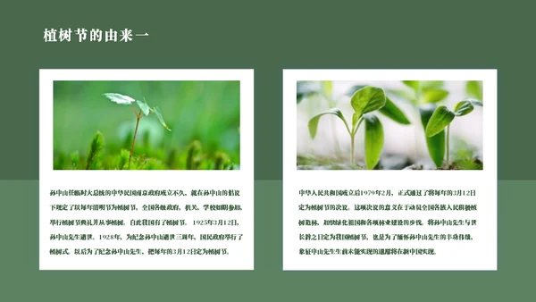 简约风植树节主题班会通用PPT模板