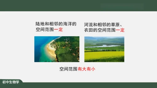 1.2.2 生物与环境组成生态系统 课件（共30张PPT）
