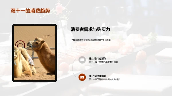 双十一菜品战略策划