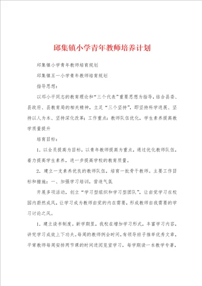 邱集镇小学青年教师培养计划