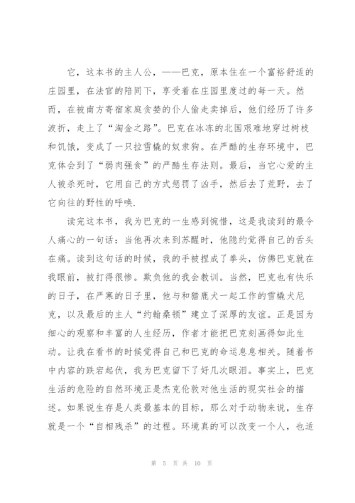 野性的呼唤读后感作文800字5篇.docx