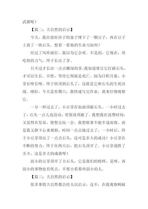 有关大自然启示的作文-1.docx